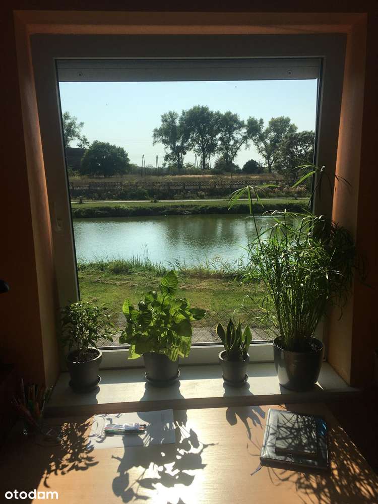 DOLINA BARYCZY gm Cieszków, dom po remoncie, siedlisko działka 0,69ha - Pełny obrazek: 5/16