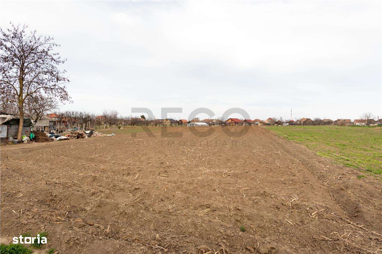 RECO Casa batraneasca cu teren generos in Girisu de Cris - Imagine principală: 5/9