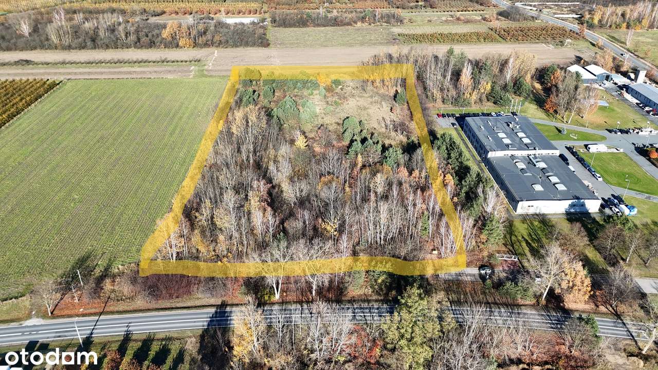 Grunt pod produkcję i usługi na wjeździe do Tarczyna, niecałe 2km odS7 - Pełny obrazek: 3/16