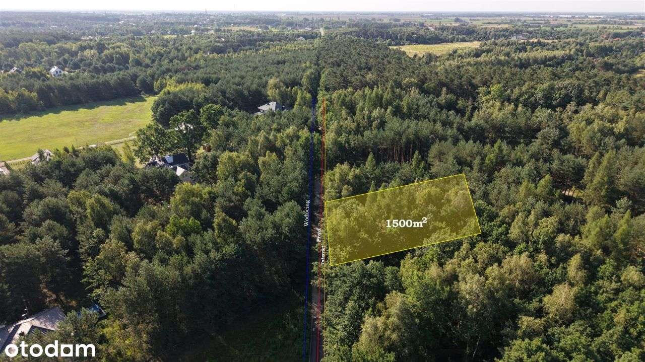 Dom w sercu natury? To możliwe! - Pełny obrazek: 5/14