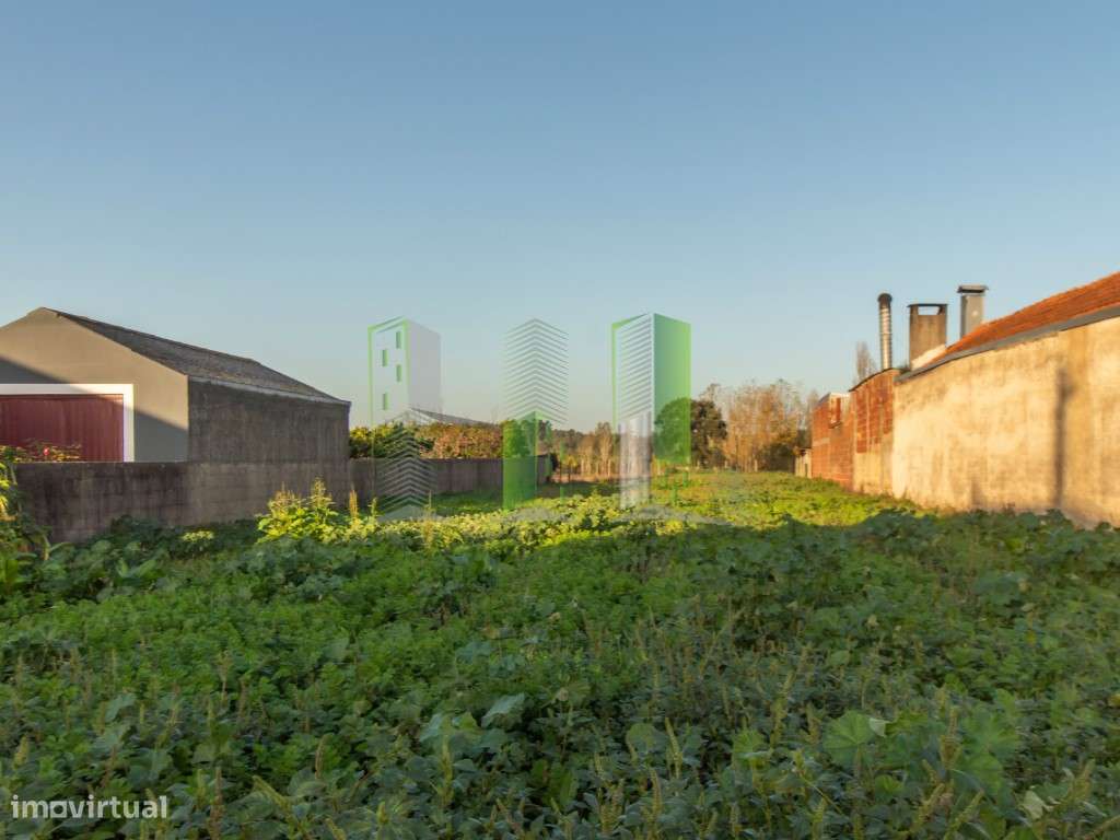 Lote de Terreno para Construção em Marvão, Cantanhede - Grande imagem: 5/13