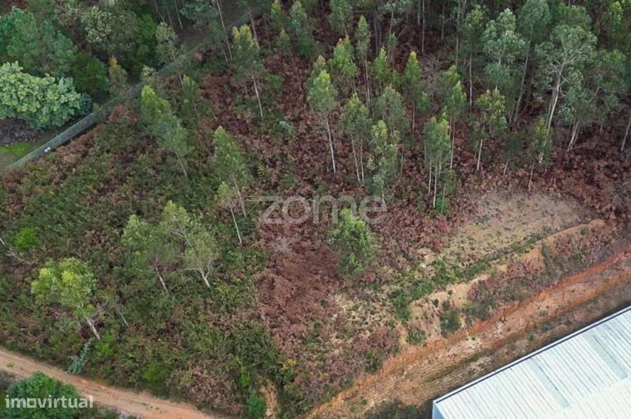 Terreno 3300m2 Vila Chã |São Roque | Oliveira de Azeméis-14