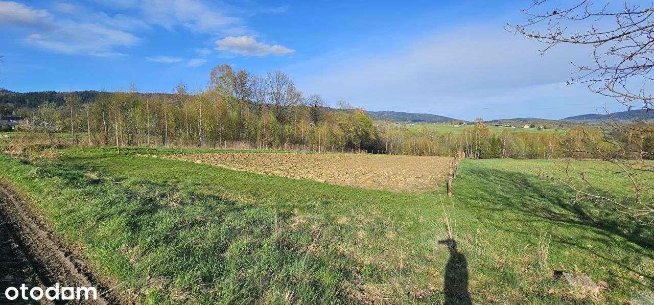 Na skraju wsi z widokiem na Pilsko :) - Pełny obrazek: 3/8