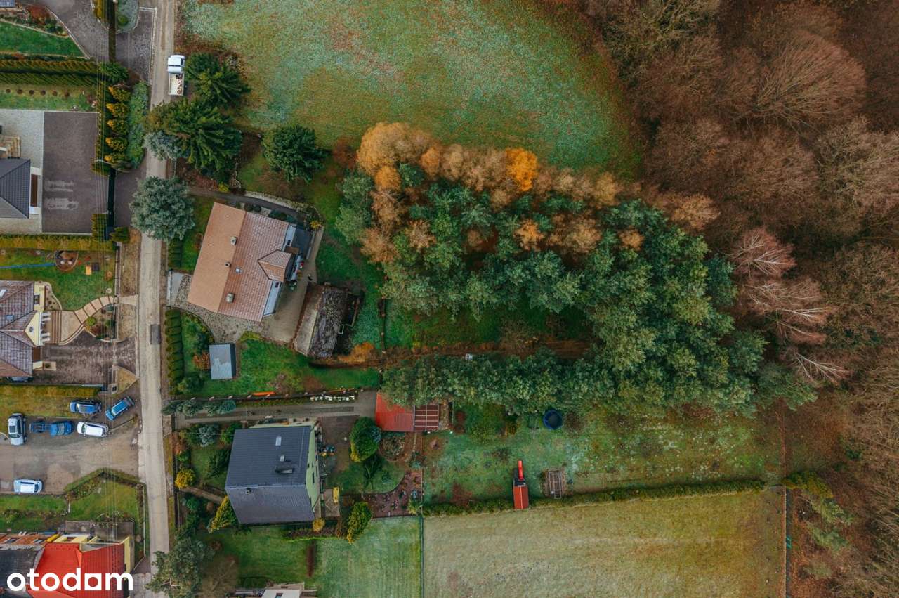 Przestronny dom z duszą i prywatnym lasem - idealny dla rodziny - Pełny obrazek: 4/20