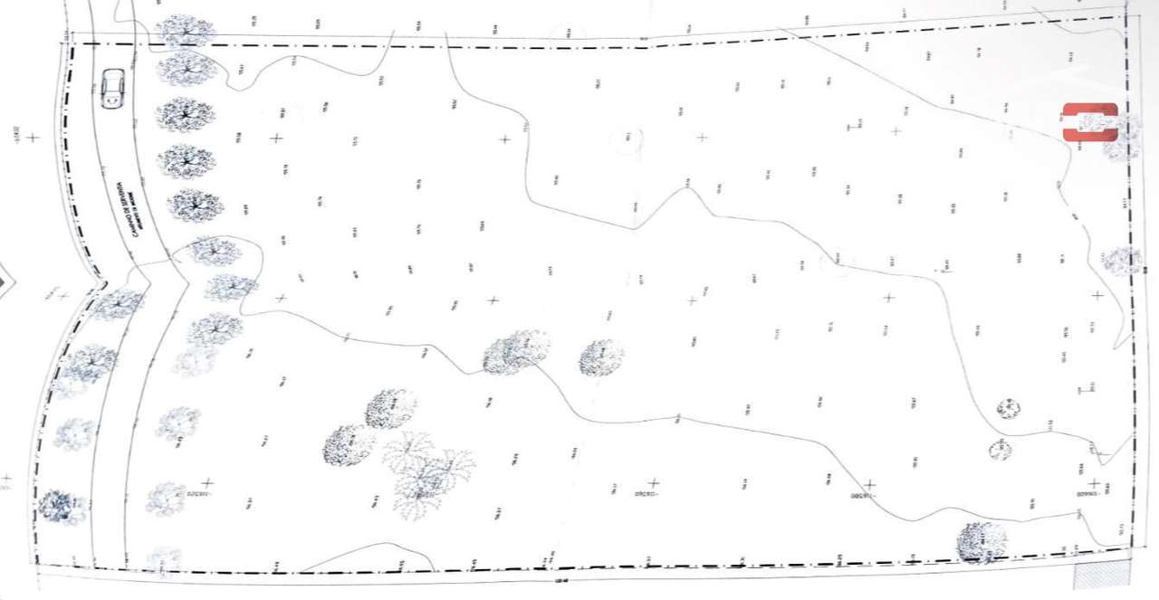 Terreno Rustico de 6.000m² com possibilidade de construção de uma m... - Grande imagem: 5/11