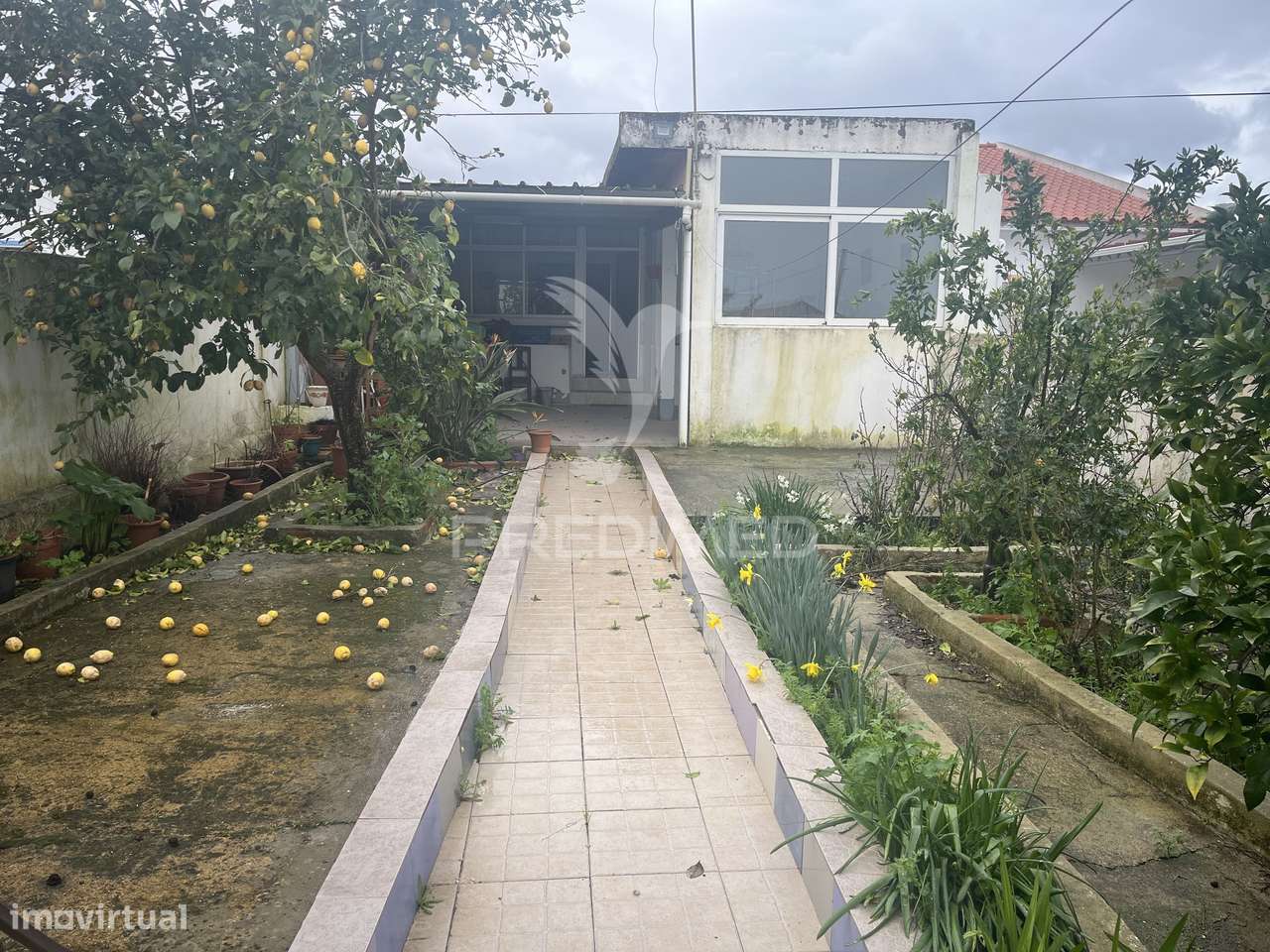 Moradia T2+1 com amplo quintal e poço em Alfundão.-14