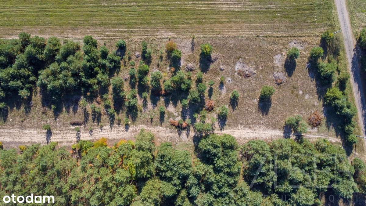 Częściowo zalesione działki rekreacyjne - Pełny obrazek: 5/13