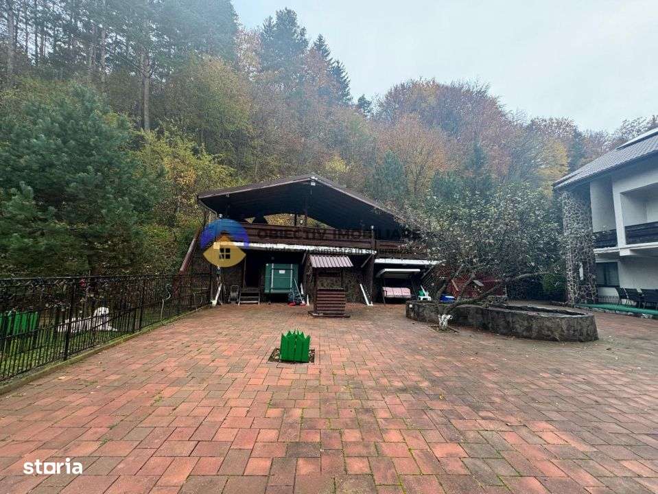 Casa cu posibilitate transformare in pensiune si teren de vanzare Piat-8