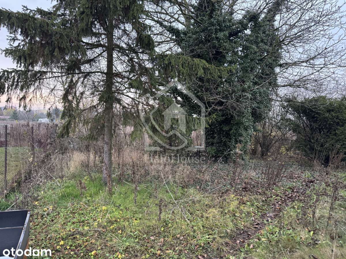 Dom do kapitalnego remontu | Duża działka |-10