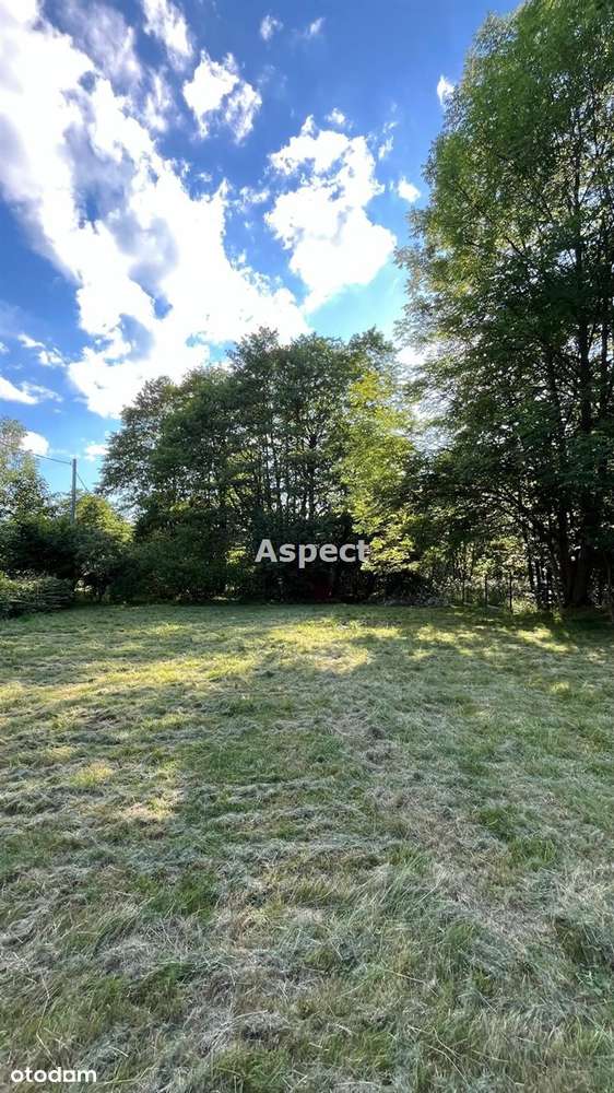 Twoje miejsce w Beskidach – działka - Koszarawa - Pełny obrazek: 5/10