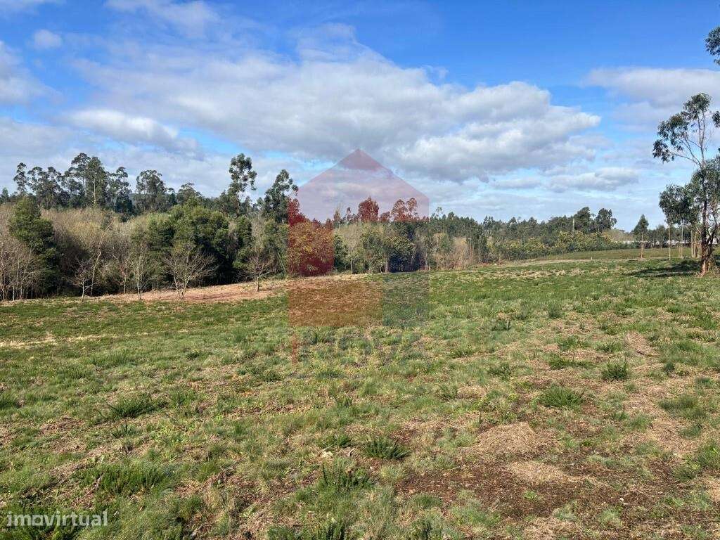 Terreno, Oleiros - Grande imagem: 4/35