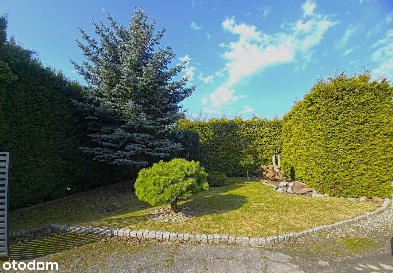 Dom z halą – ogromny potencjał inwestycyjny | Łysomice-19