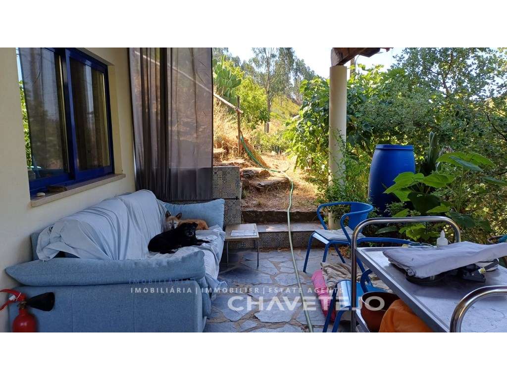 Encantador Turismo Rural em Figueiró dos Vinhos-45