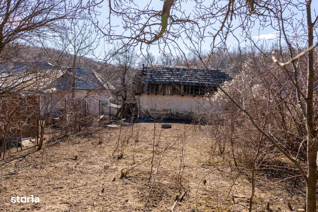 Ai plecat din Solont, dar terenul asta de 1737mp te cheama inapoi-8