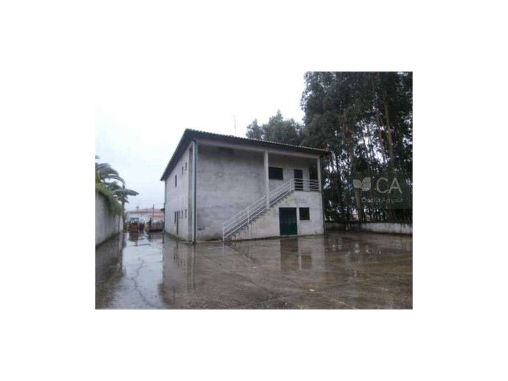 Restaurante - Grande imagem: 2/3