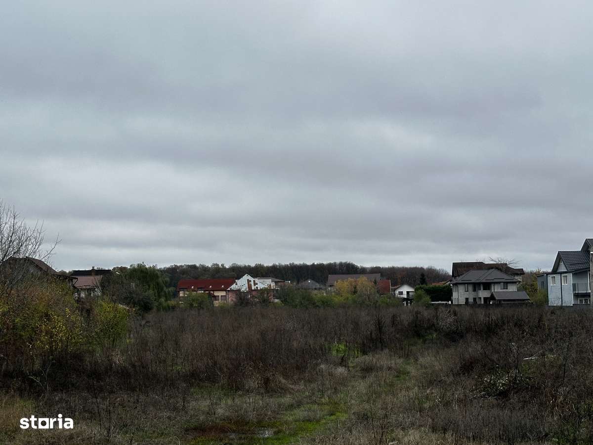 Teren Intravilan de Vânzare - 10.000 mp în Voluntari–Deschidere 50 m - Imagine principală: 3/5