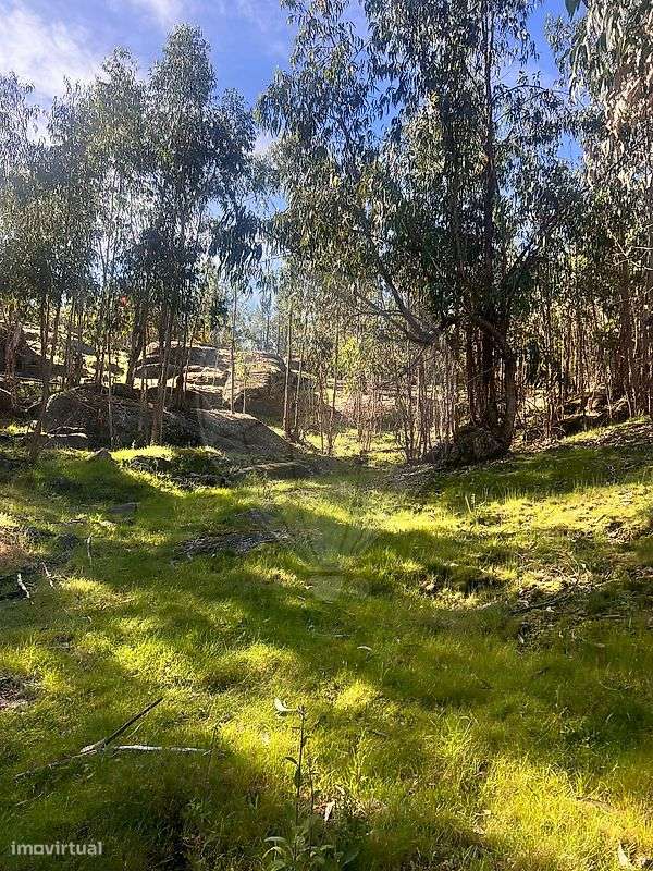 Terreno  para venda - Grande imagem: 5/11