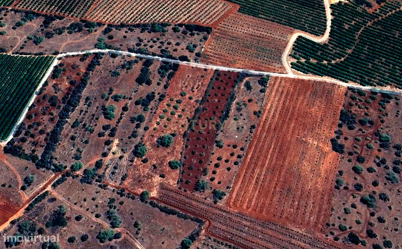 Terreno rústico plano com uma área de 7220 m² - Grande imagem: 5/6