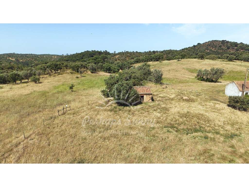 Terreno Misto para construção de Habitação ou Turismo - Melides-25
