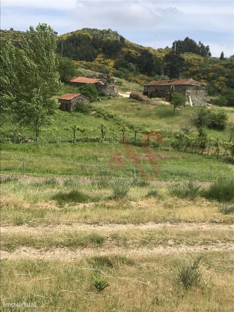 Quinta T2 p/ restauro em Soalhães, Marco de Canaveses. - Grande imagem: 4/7