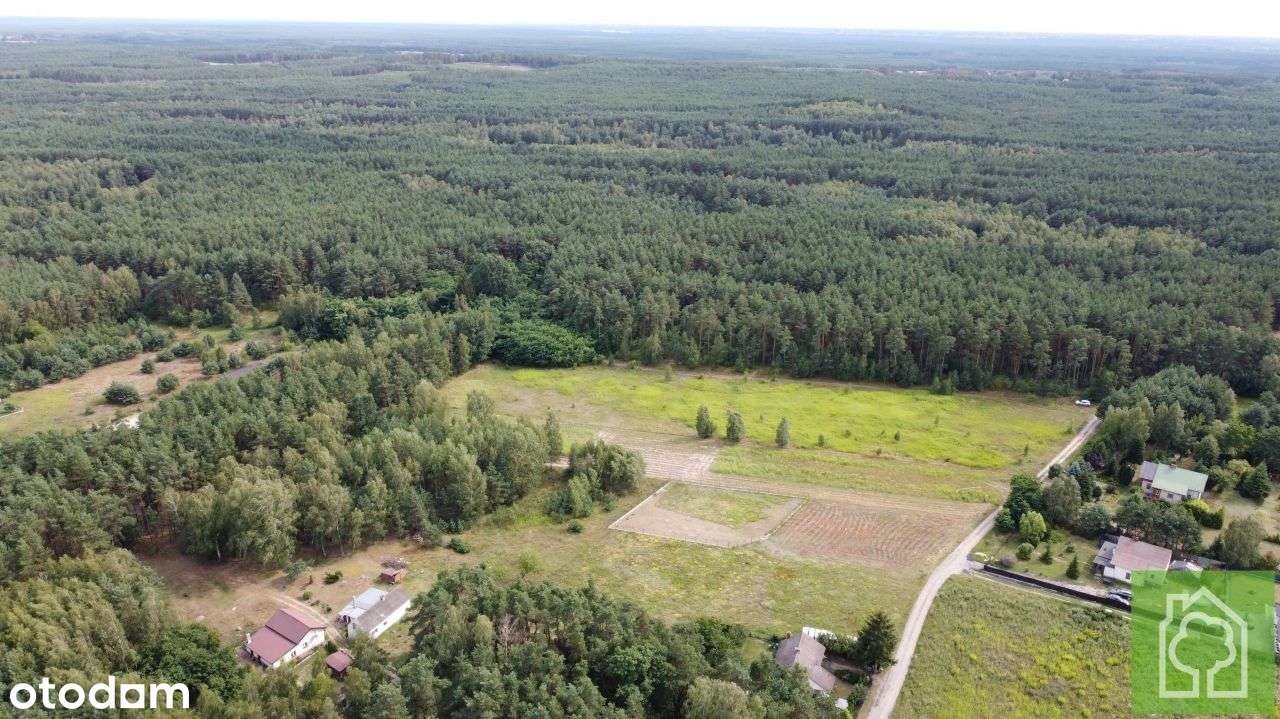 Działka, 800 m², Obrowo - Pełny obrazek: 5/12