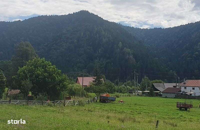 Teren intravilan Lunca Bradului(Mures) 1200 mp - Imagine principală: 4/8