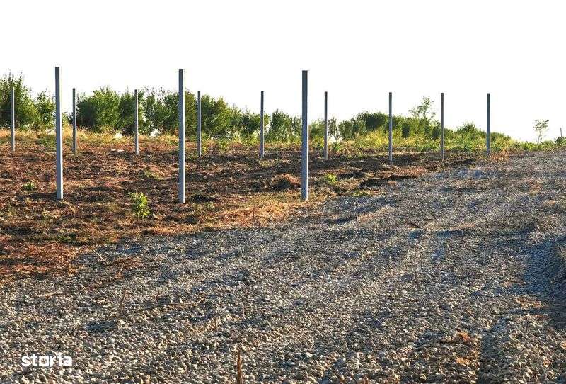 Comana intravilan, loturi 528mp/13Emp, Delta, privat (rate/credit) - Imagine principală: 5/8