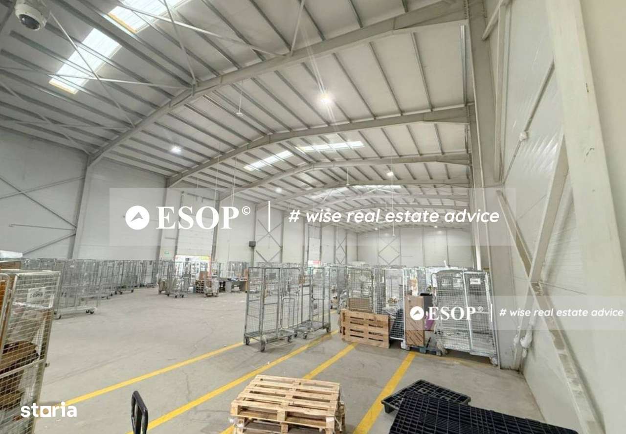 Hala industriala PREMIUM, zona Centura - Mogosoaia, 2450mp, ID 15425 - Imagine principală: 5/12
