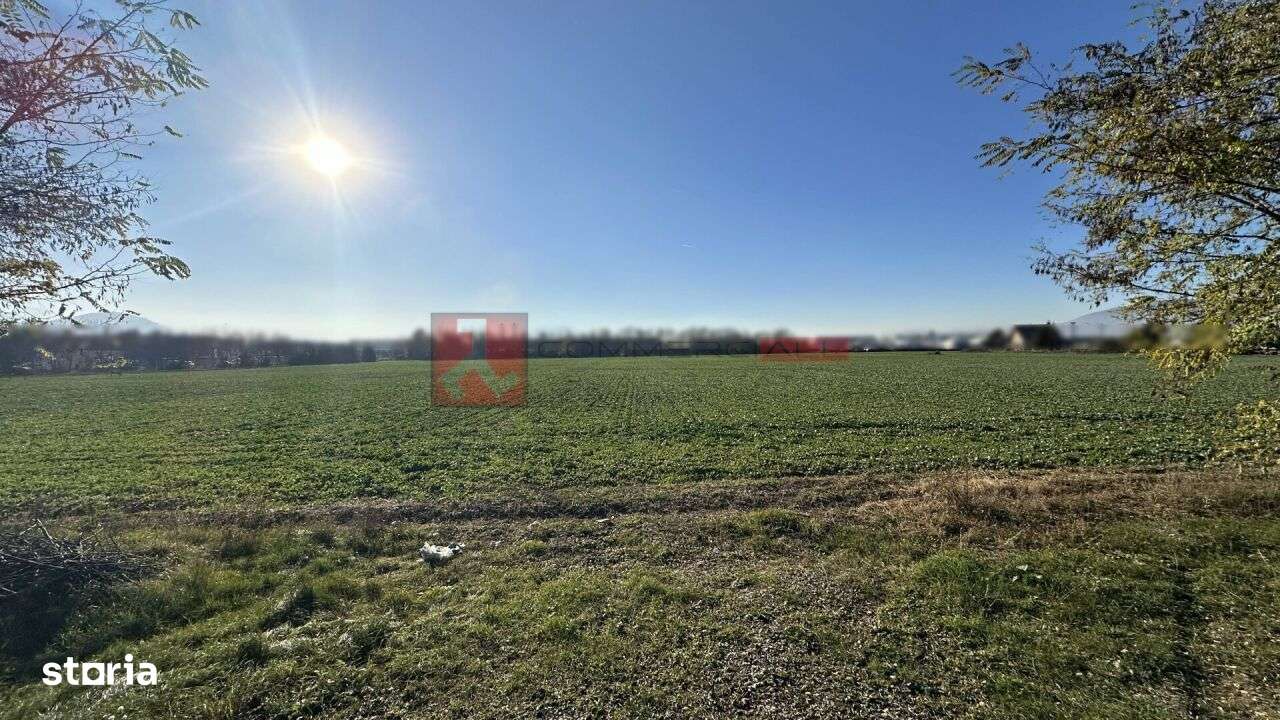 TEREN- 59 545 MP - POZITIONAT STRADAL-0