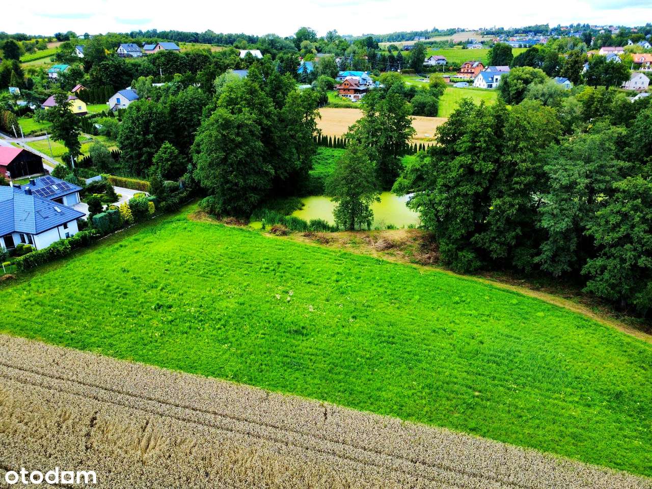 Wyjątkowa działka 81 ar | Przybysławice | staw, zieleń, media, MPZP-10