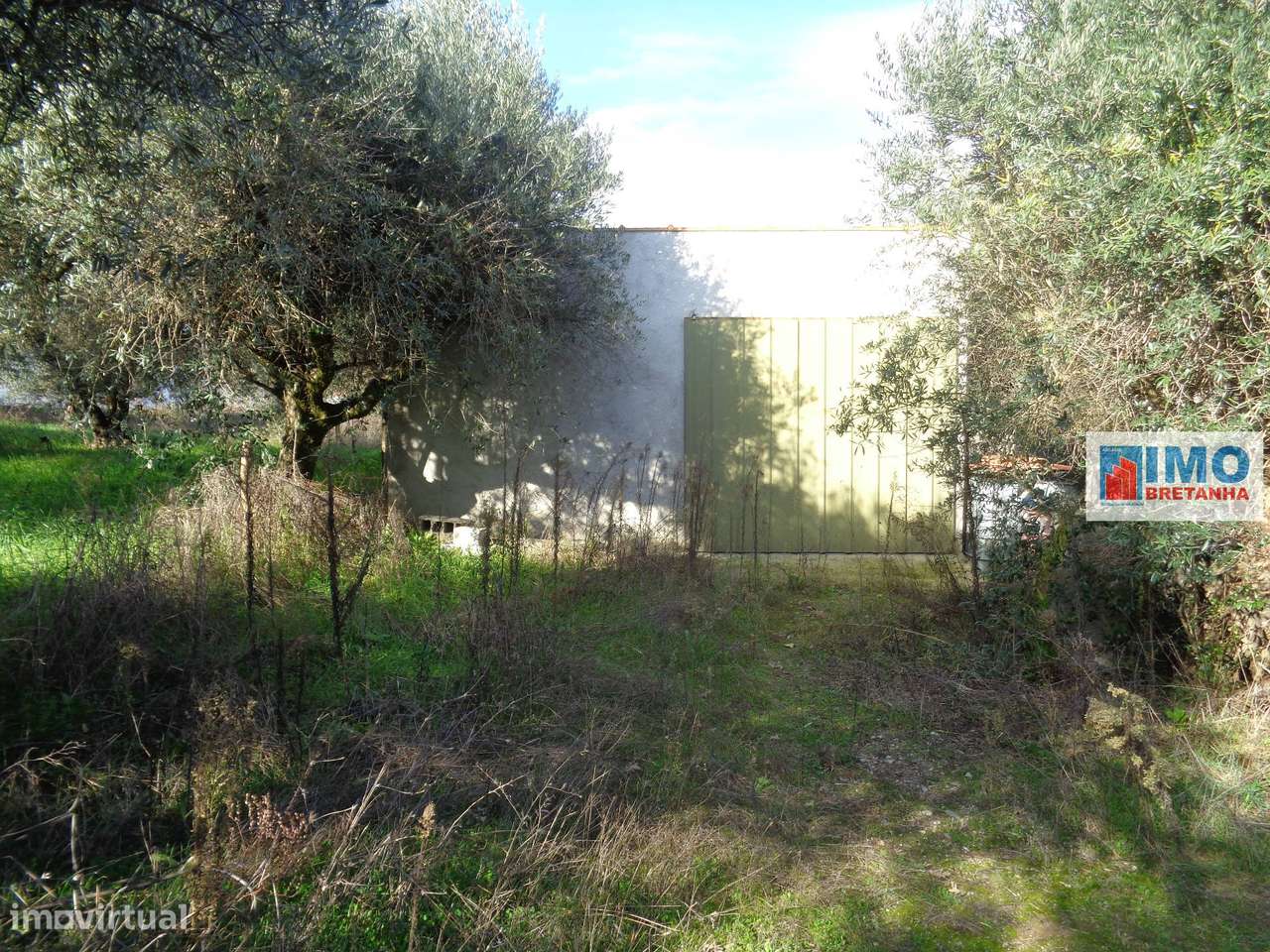 Quinta - Zona de Alcaria - Fundão - Grande imagem: 5/23