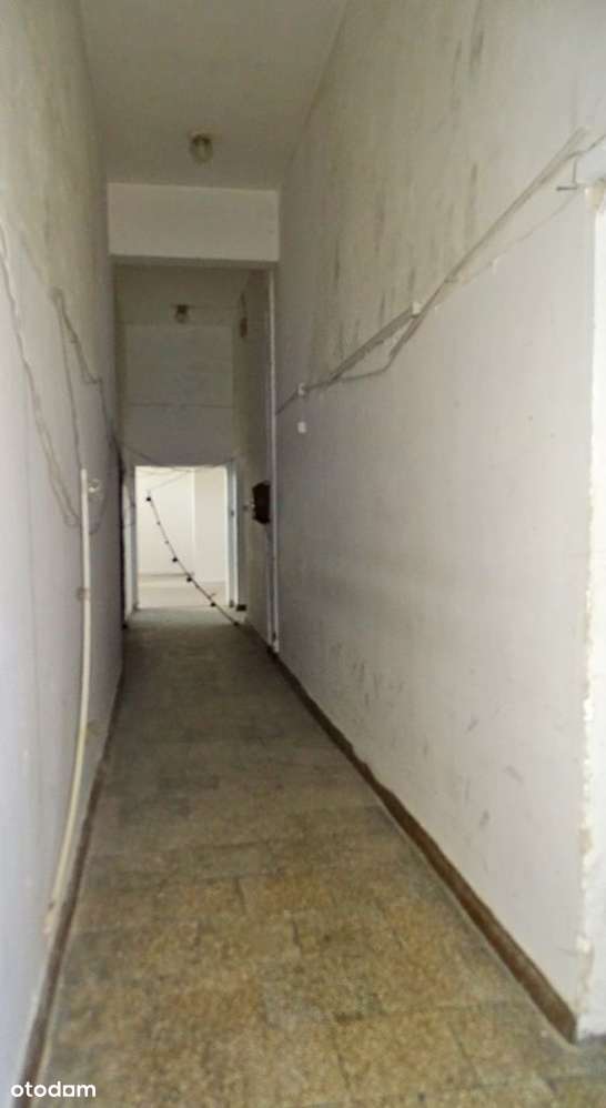 Duży lokal użytkowy do najmu - Szczecin Zdroje - Pełny obrazek: 4/9