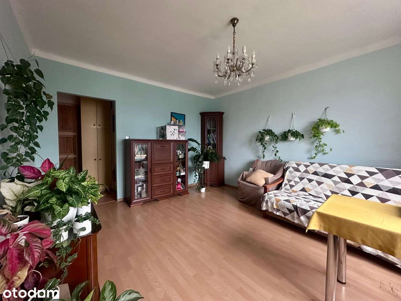 Mieszkanie na Stary Żoliborzu 1/2 pokoje Do Remontu - Pełny obrazek: 4/13