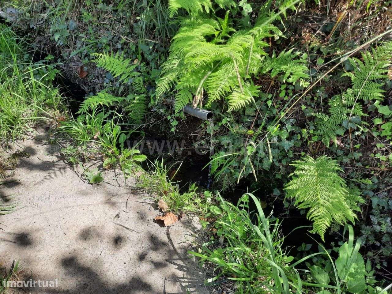 Terreno com 1.600 m2 em Arões São Romão - Grande imagem: 5/10