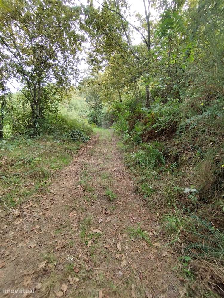 🏡 Terreno para Construção de Moradia Individual – 688 m² | San - Grande imagem: 4/14