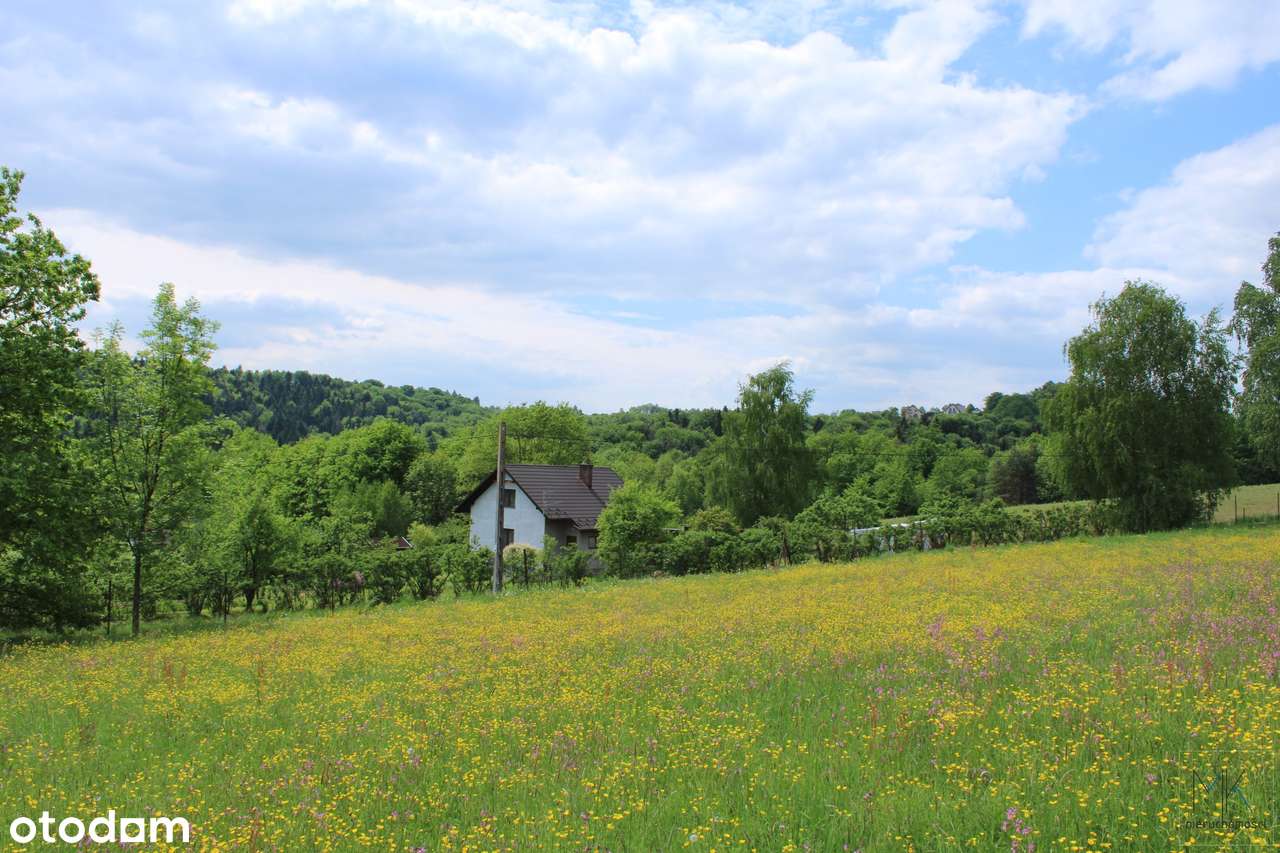 Kobylec (gm. Łapanów) - działka budowlana z ładnym widokiem!-3