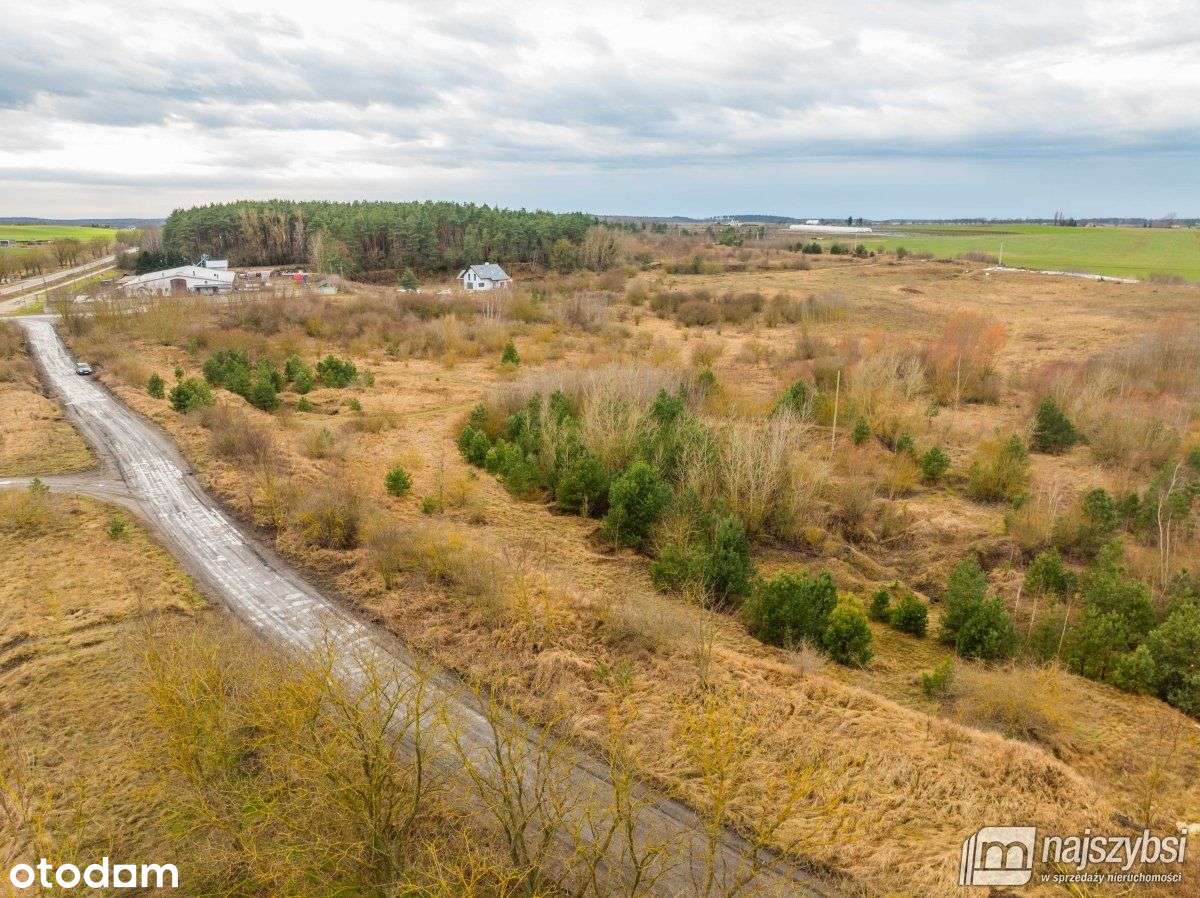 Pełczyce - teren inwestycyjny- strefa ekonomiczna - Pełny obrazek: 5/20