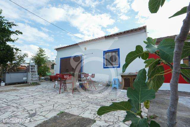 Propriedade com 6 habitações - Pintada - Montemor-o-Novo-22