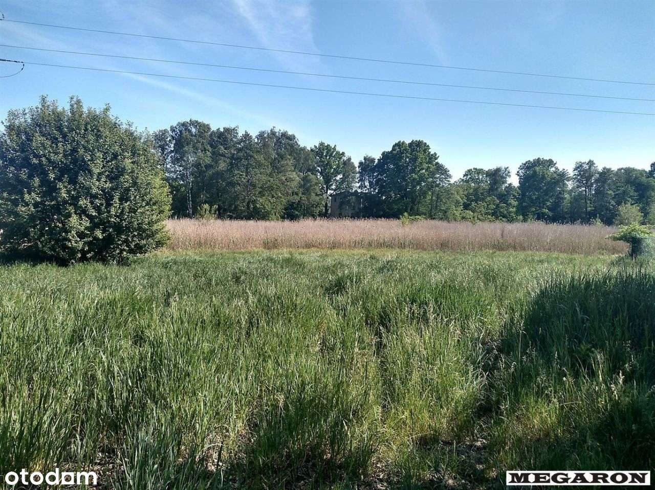 Duża działka budowlano-rolna- Nowa Cena ! - Pełny obrazek: 4/6