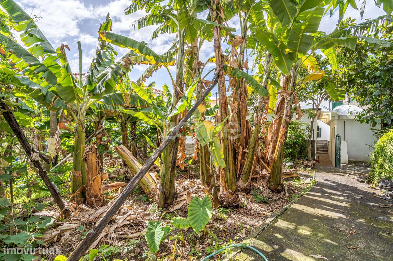 Moradia T3 + T0 a 5minutos a pé do Centro do Funchal - Grande imagem: 3/60