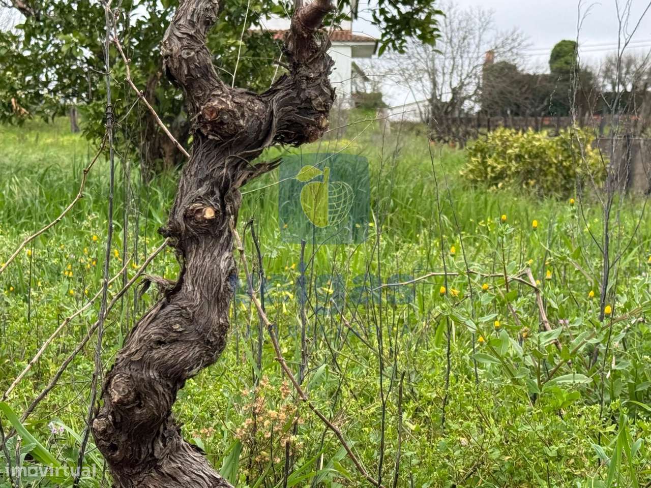 Moradia T6 com Vista Campo em Averangel, Castelo do Bode, Tomar-51