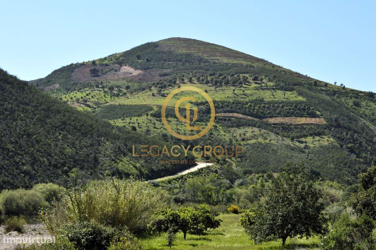 Terreno Rústico c/55 Hectares - Vaqueiros, Alcoutim - Grande imagem: 4/34