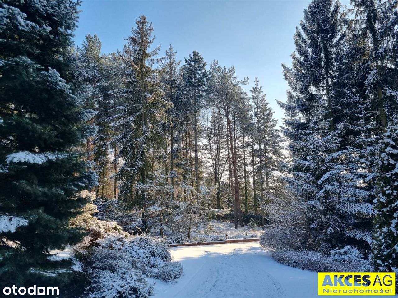 Luksusowy dom, intymnie położony, Żabiczki -Las-5