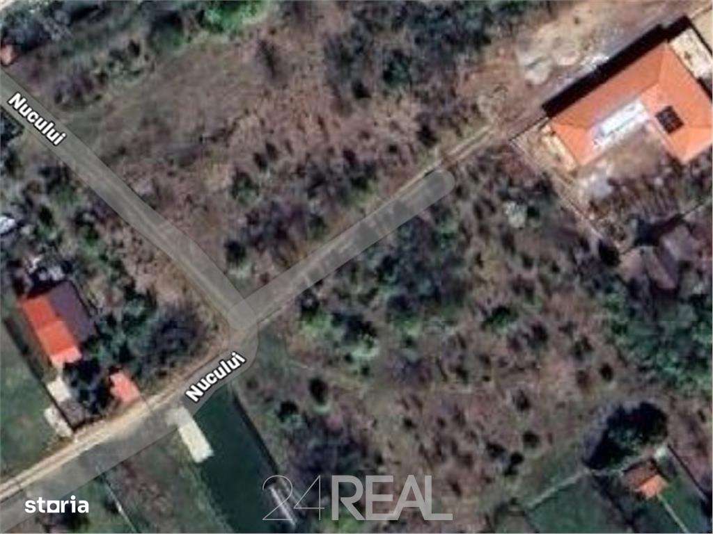 Teren de vanzare in Snagov - 981 mp-0