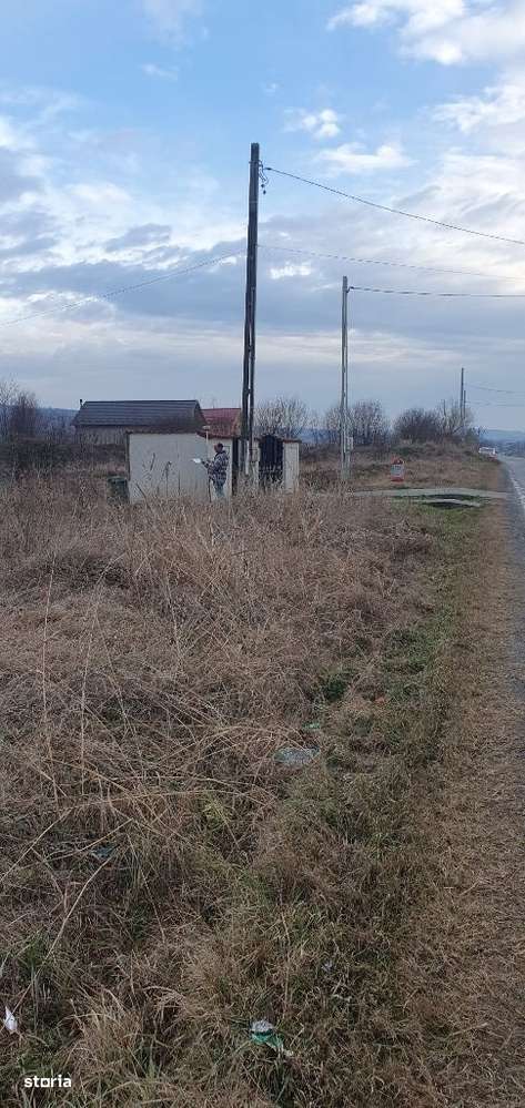 Teren intravilan milesti -simnicul de sus - Carpe Diem Imobiliare - Imagine principală: 3/6