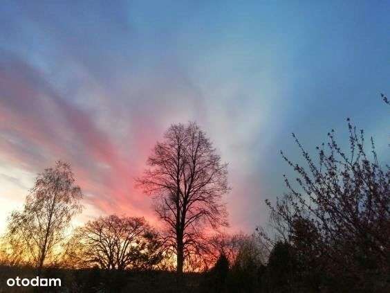 Zobacz Dom I ZŁÓŻ Swoją Propozycję Cenową-19