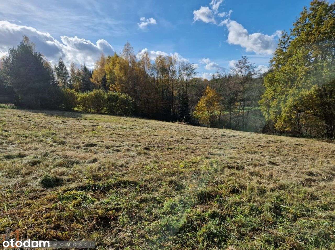 Działka, 2 491 m², Maszków - Pełny obrazek: 4/7