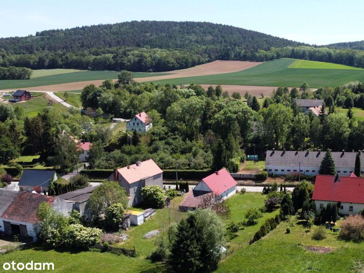 Dom do generalnego remontu z dużą działką-5