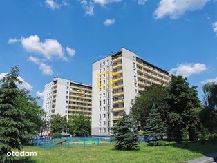 2 pok 43m ścisłe centrum balkon winda bez piecyka