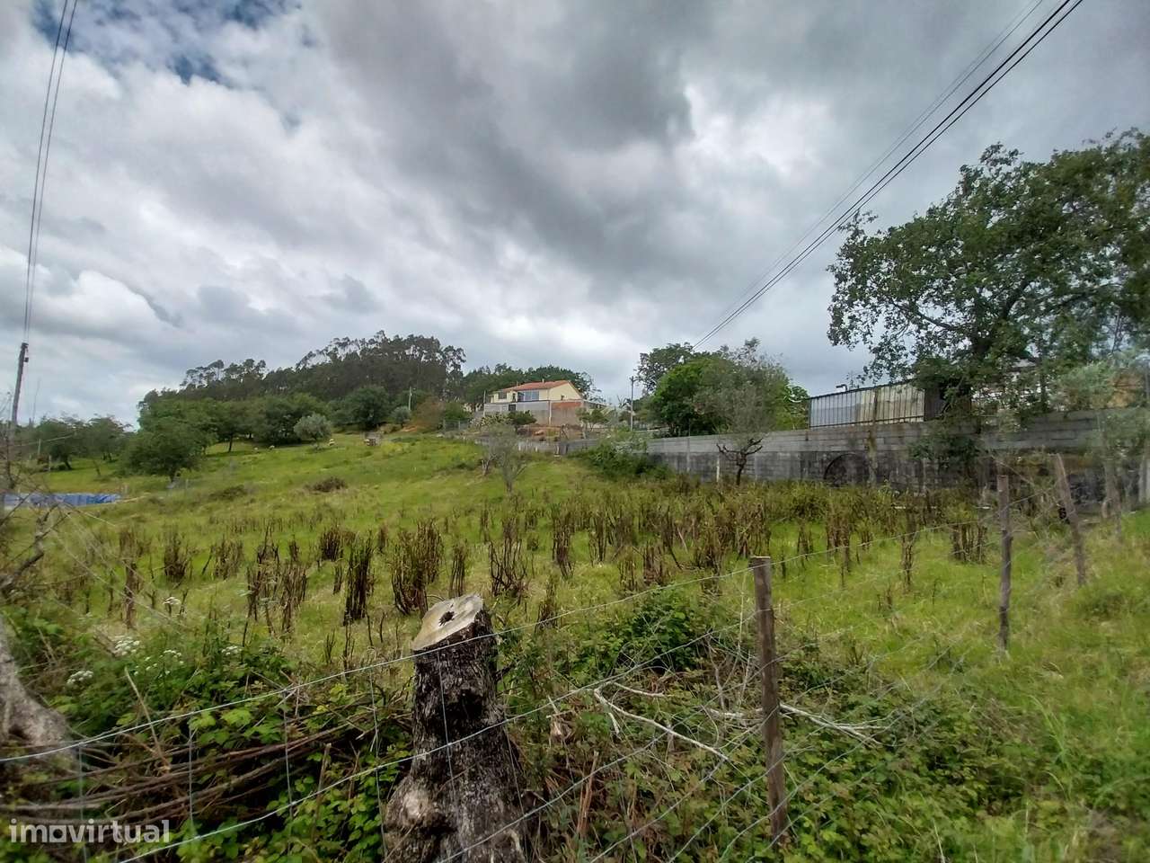 Terreno Agrícola || Pombal - Grande imagem: 3/8